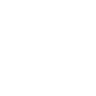 POLISHING icon